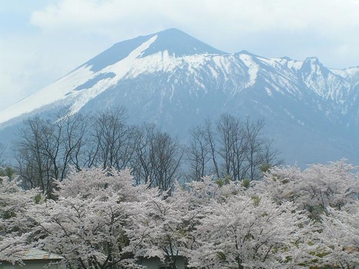 花咲く春巡り桜祭り北東北旅【酪農応援】県産黒毛和牛プチステーキ旬菜創作ディナ ー！風呂貸切！